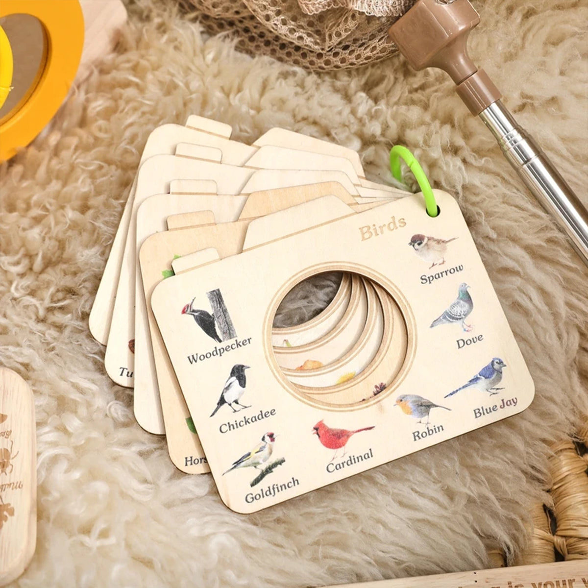 Jessruly® Bug Catcher Kit – 9PCS Outdoor Nature Exploration Set with Bug Box